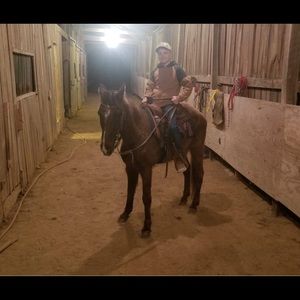 Meet your Posher, Nick